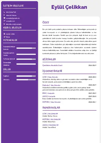 cv indir